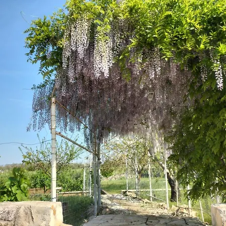 Il Giardino Delle Fate Affittacamere
